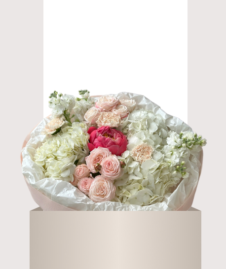 Сезонные цветы