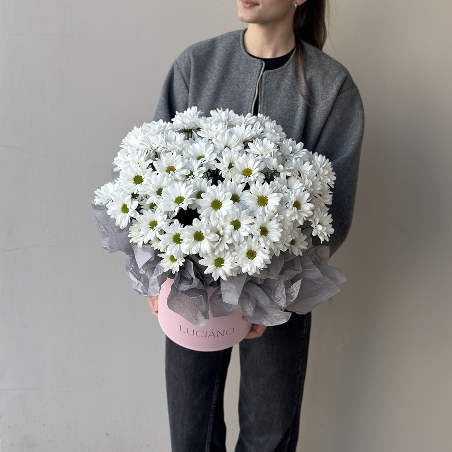 Моно композиция из ромашковых хризантем