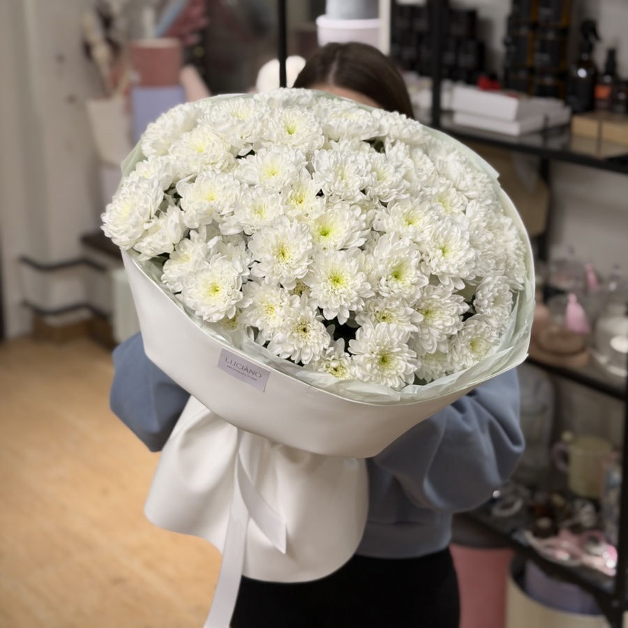 Хризантемы сорта «Алтай»