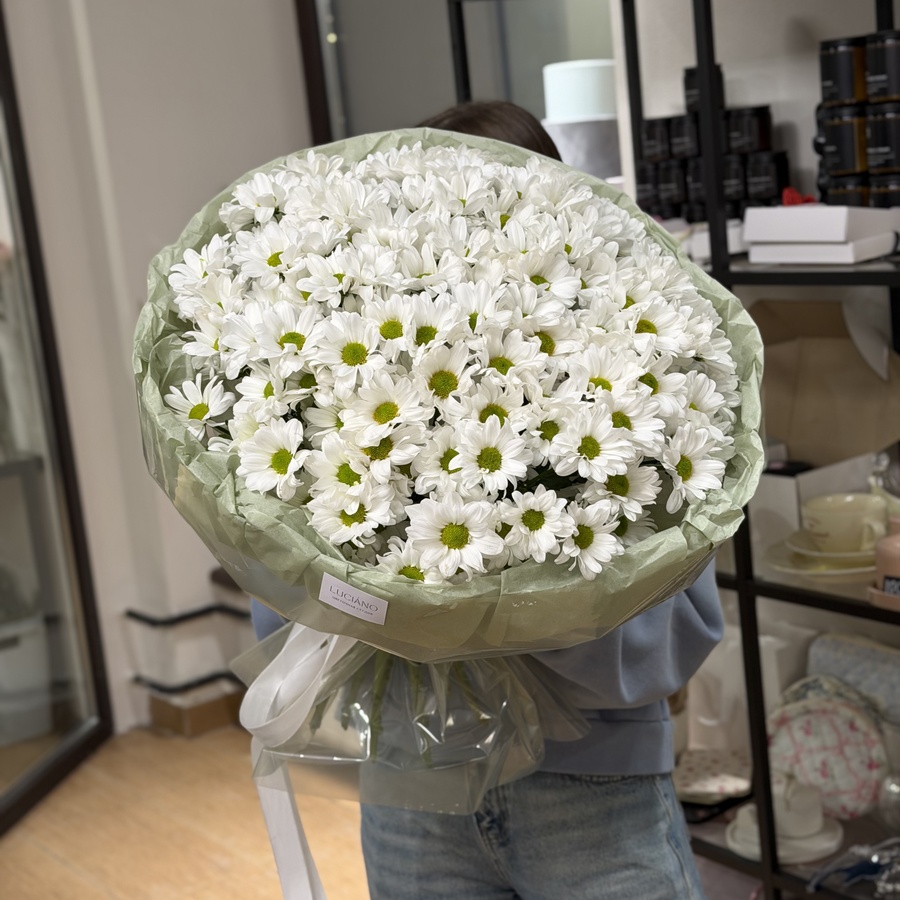 Хризантемы 21шт