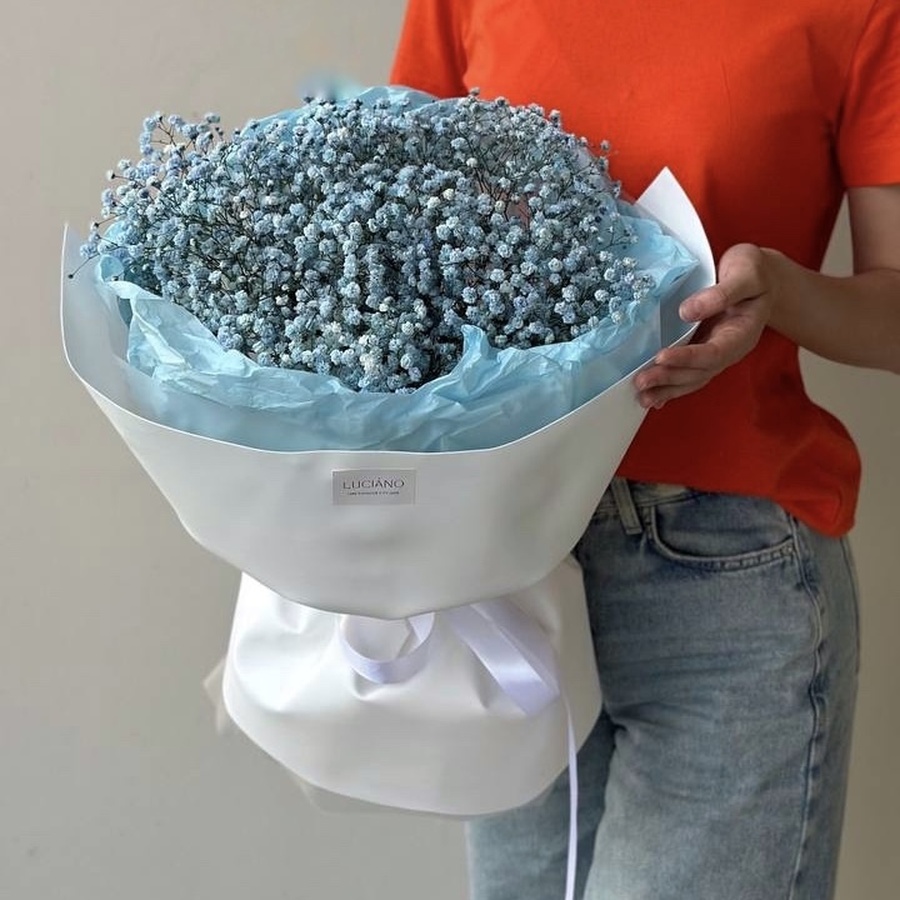 Моно букет из гипсофилы